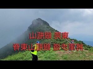 觀音座蓮 姿勢